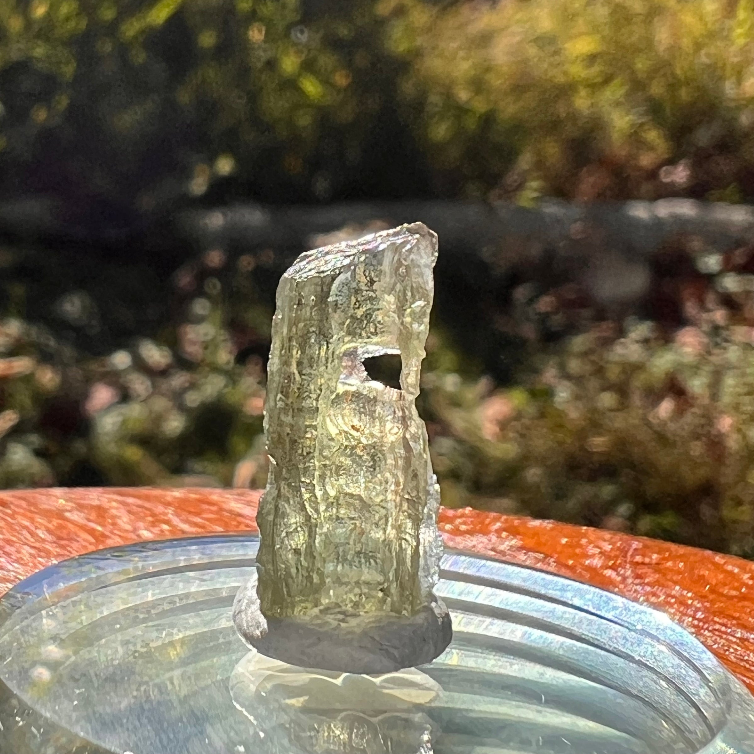 Moldavite 0.9 grams Natural Hole #2300-Moldavite Life