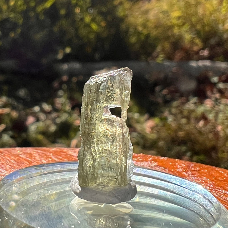 Moldavite 0.9 grams Natural Hole #2300-Moldavite Life