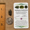 Moldavite 1 gram #1675-Moldavite Life