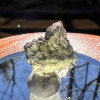 Moldavite 1 gram #1886-Moldavite Life