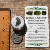 Moldavite 1 gram #1891-Moldavite Life