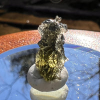 Moldavite 1 gram #1894-Moldavite Life