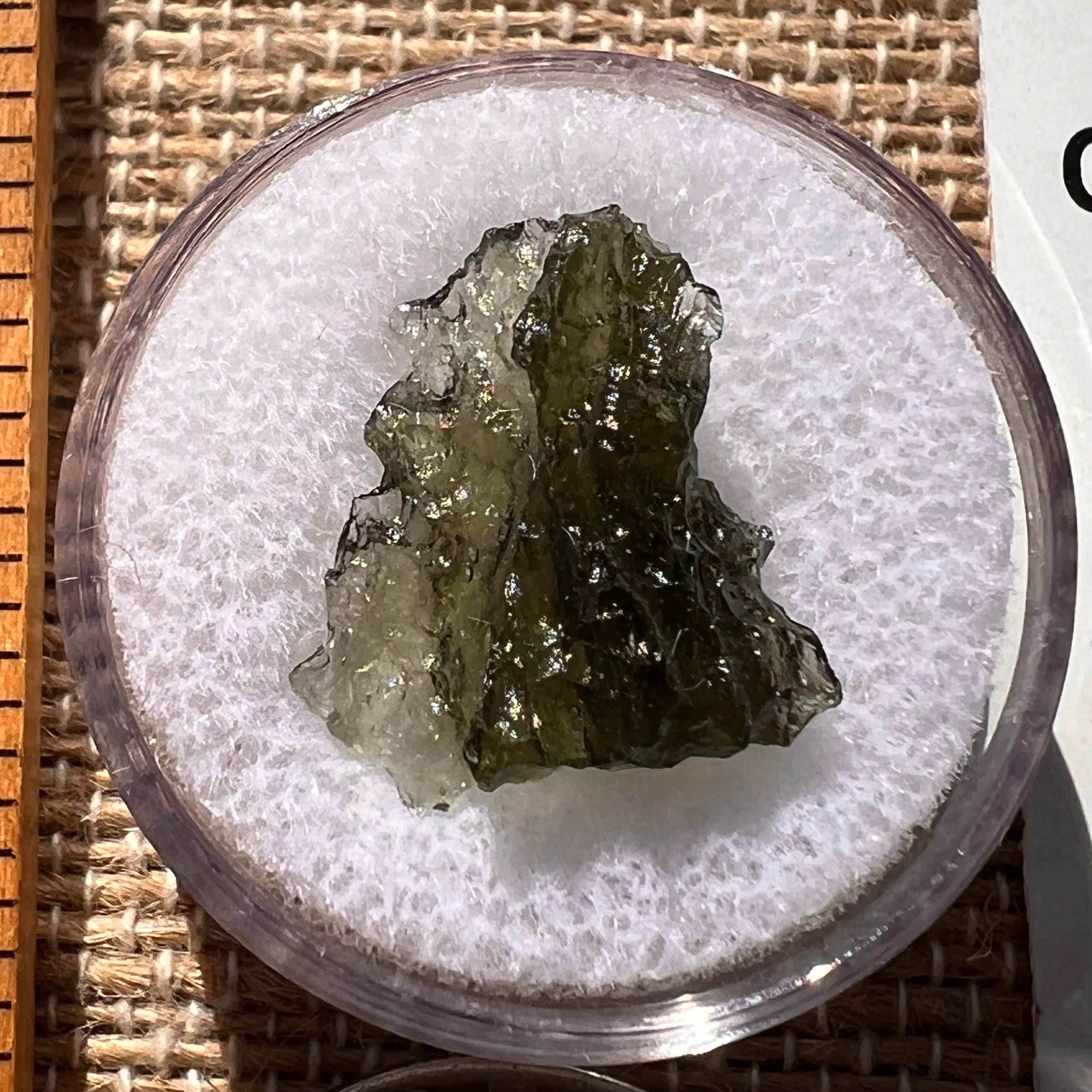 Moldavite 1 gram #1894-Moldavite Life