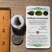 Moldavite 1 gram #1894-Moldavite Life