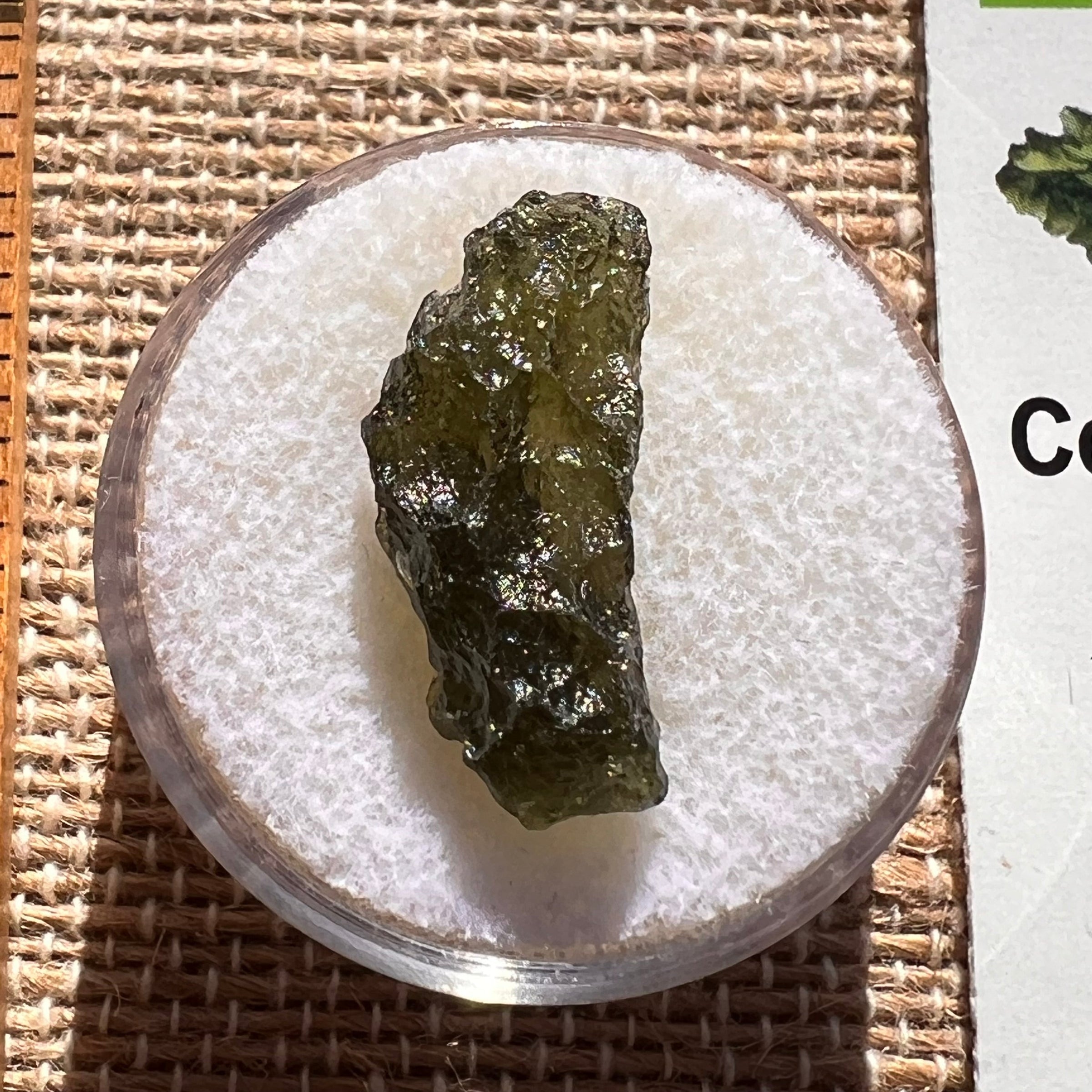 Moldavite 1 gram #1984-Moldavite Life