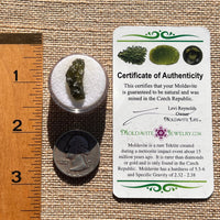 Moldavite 1 gram #1984-Moldavite Life