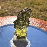 Moldavite 1 gram #1984-Moldavite Life