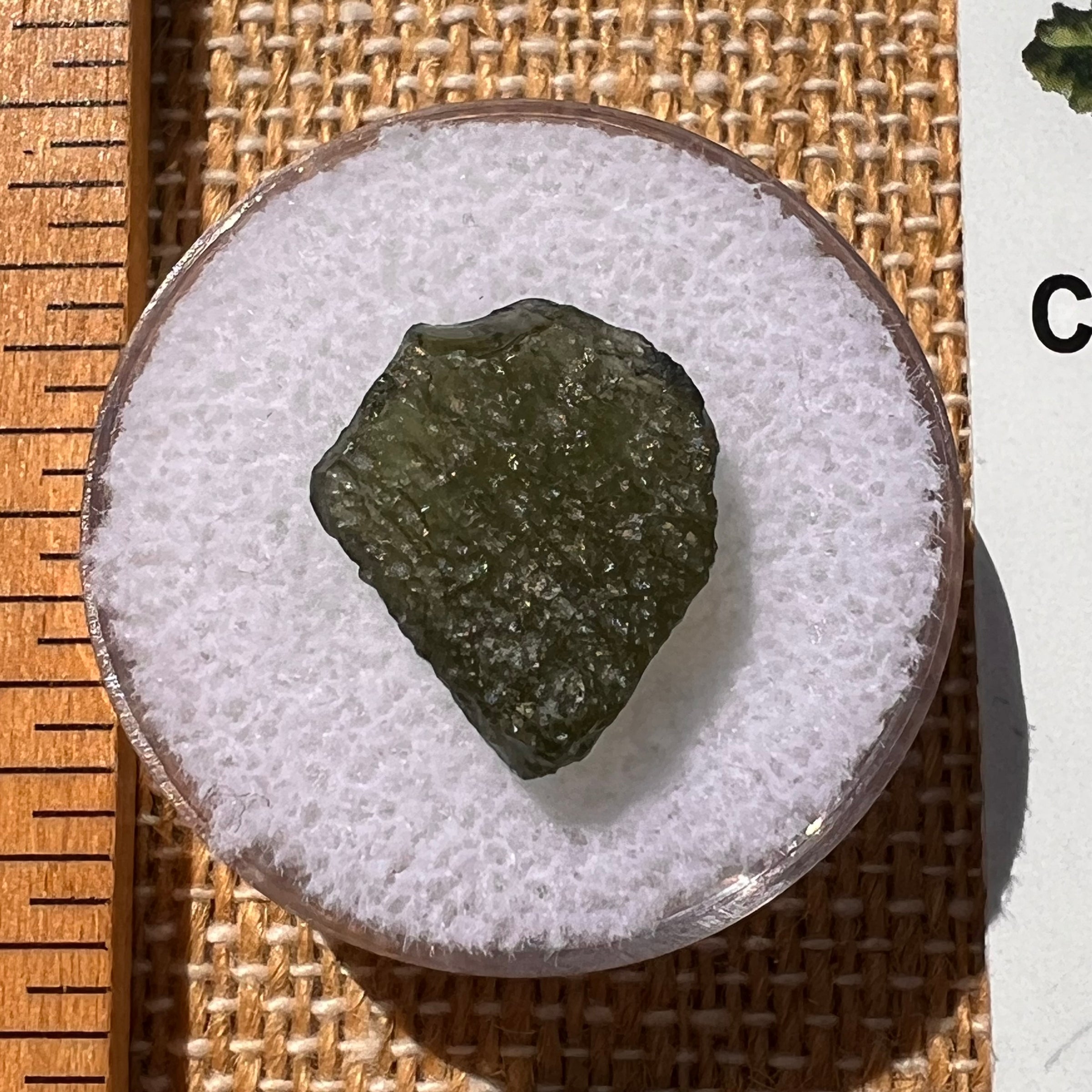 Moldavite 1 gram #1999-Moldavite Life