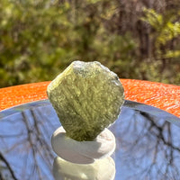 Moldavite 1 gram #1999-Moldavite Life