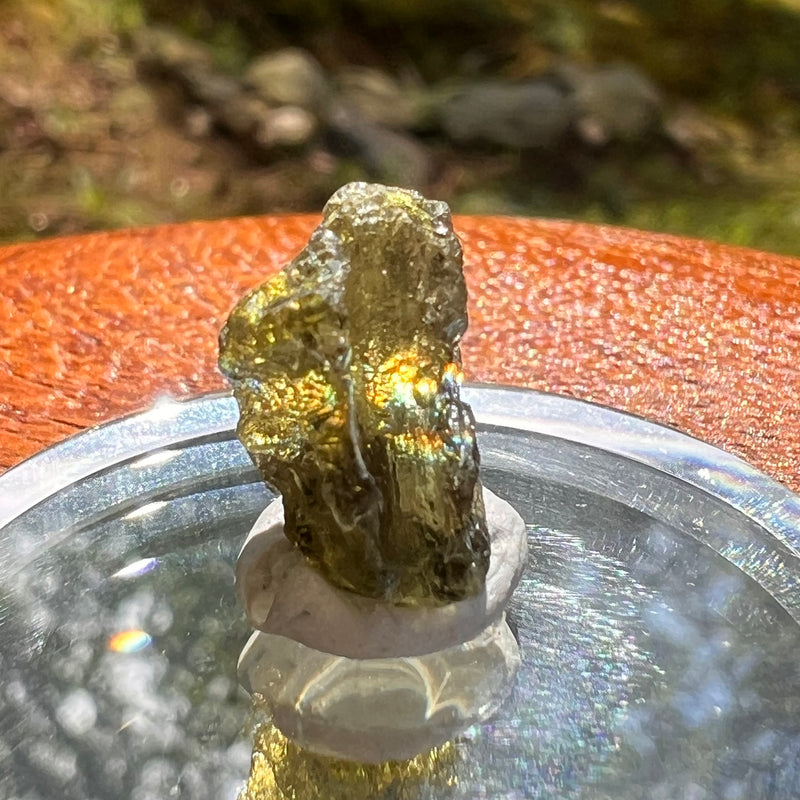 Moldavite 1 gram #2071-Moldavite Life