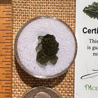 Moldavite 1 gram #2071-Moldavite Life