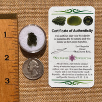 Moldavite 1 gram #2071-Moldavite Life