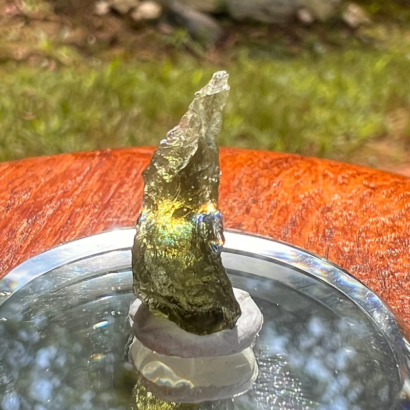 Moldavite 1 gram #2075-Moldavite Life