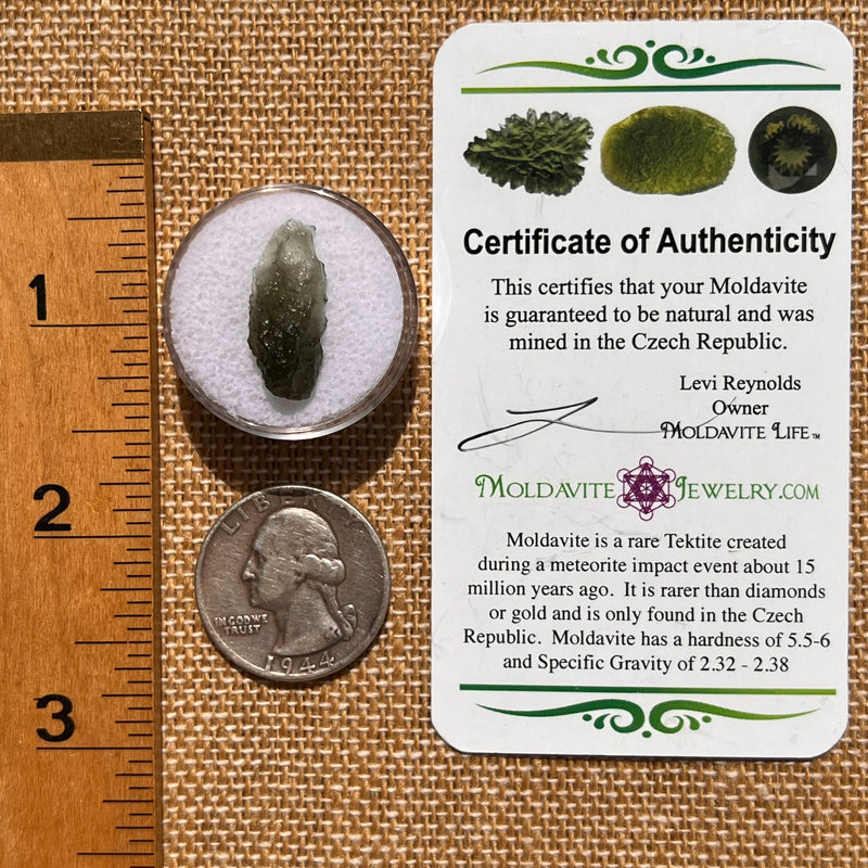 Moldavite 1 gram #2075-Moldavite Life