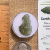 Moldavite 1 gram #2083-Moldavite Life