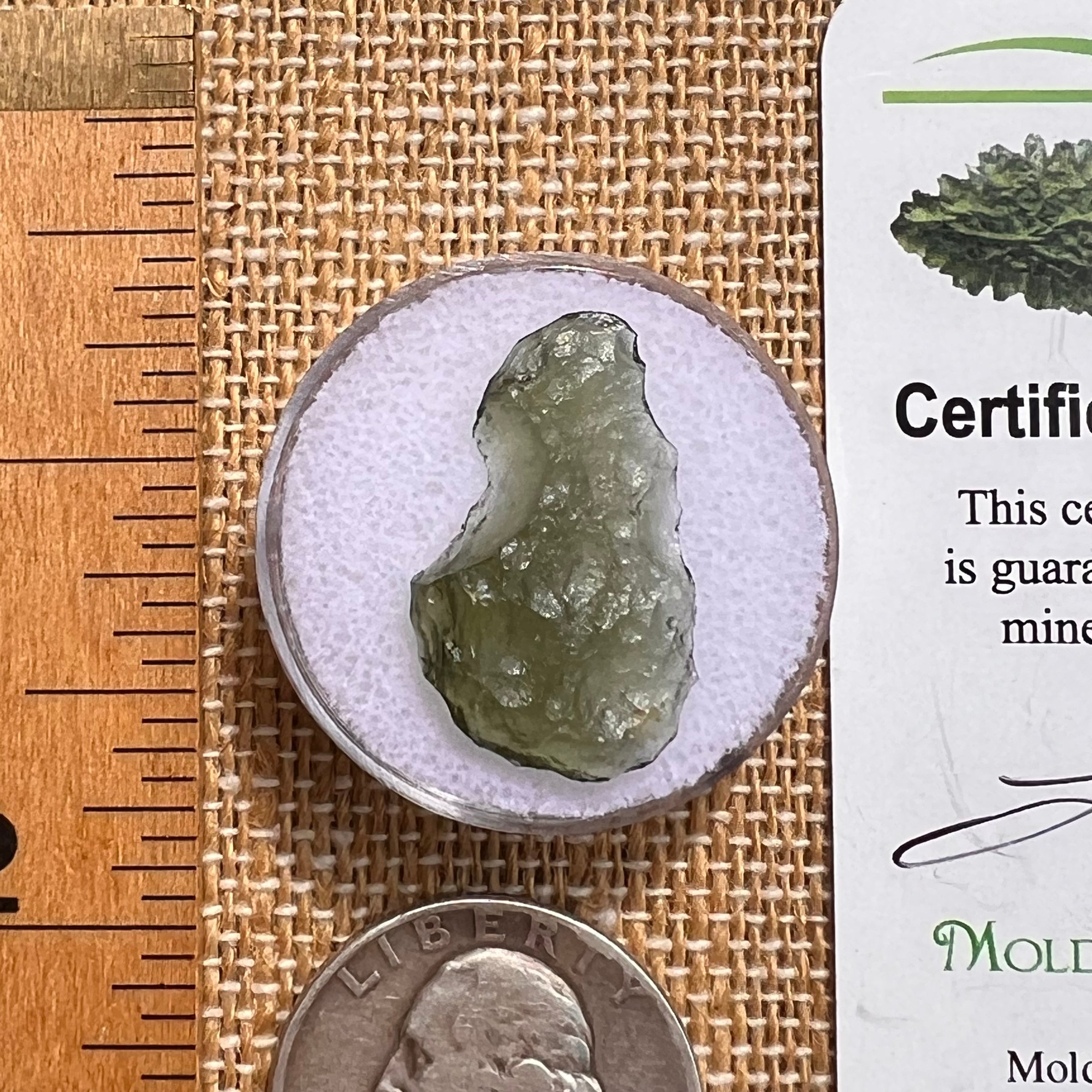 Moldavite 1 gram #2083-Moldavite Life