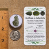 Moldavite 1 gram #2083-Moldavite Life