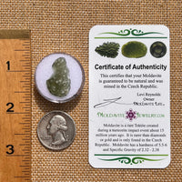 Moldavite 1 gram #2083-Moldavite Life