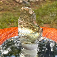 Moldavite 1 gram #2083-Moldavite Life