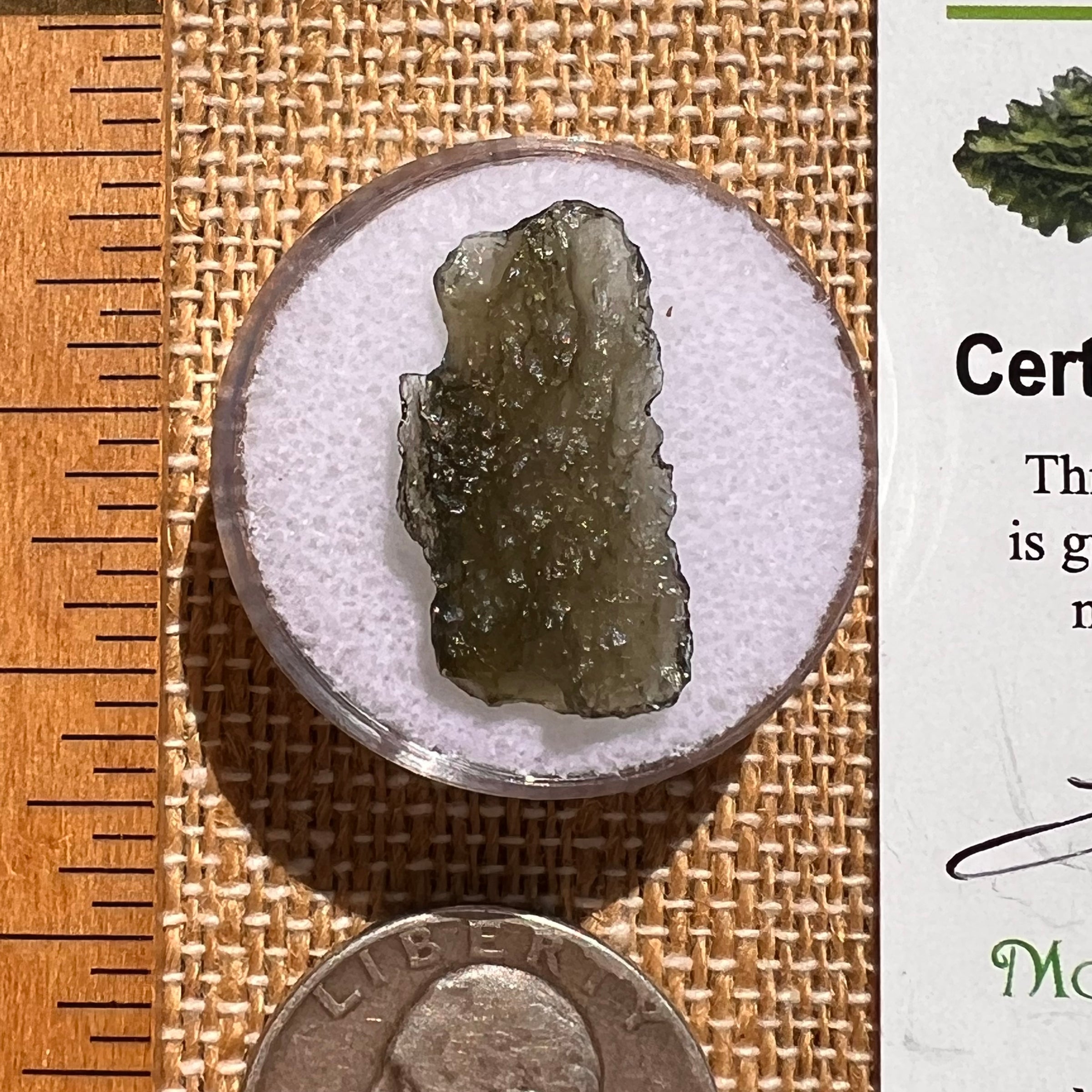 Moldavite 1 gram #2085-Moldavite Life