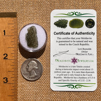 Moldavite 1 gram #2085-Moldavite Life