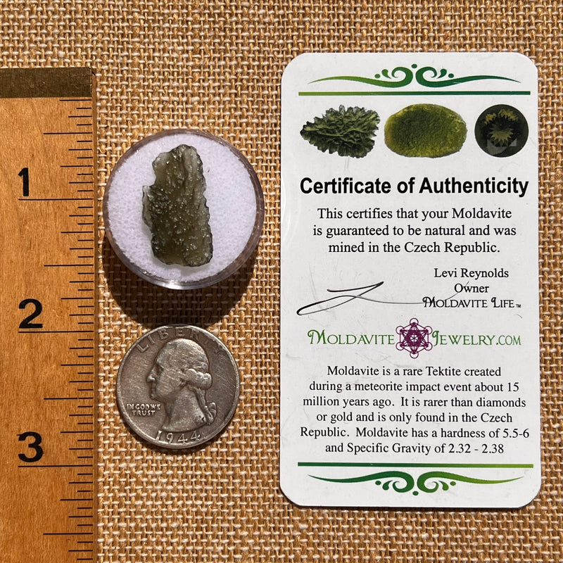 Moldavite 1 gram #2085-Moldavite Life