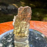 Moldavite 1 gram #2085-Moldavite Life