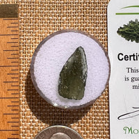 Moldavite 1 gram #2094-Moldavite Life