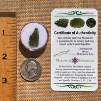 Moldavite 1 gram #2094-Moldavite Life