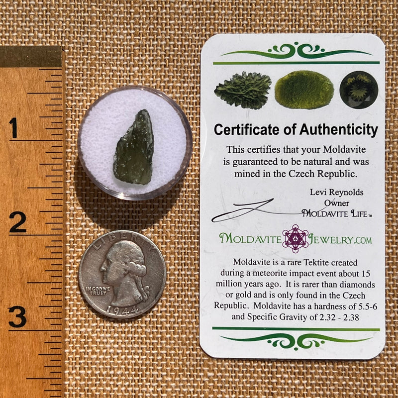 Moldavite 1 gram #2094-Moldavite Life