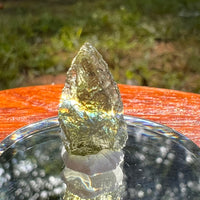 Moldavite 1 gram #2094-Moldavite Life