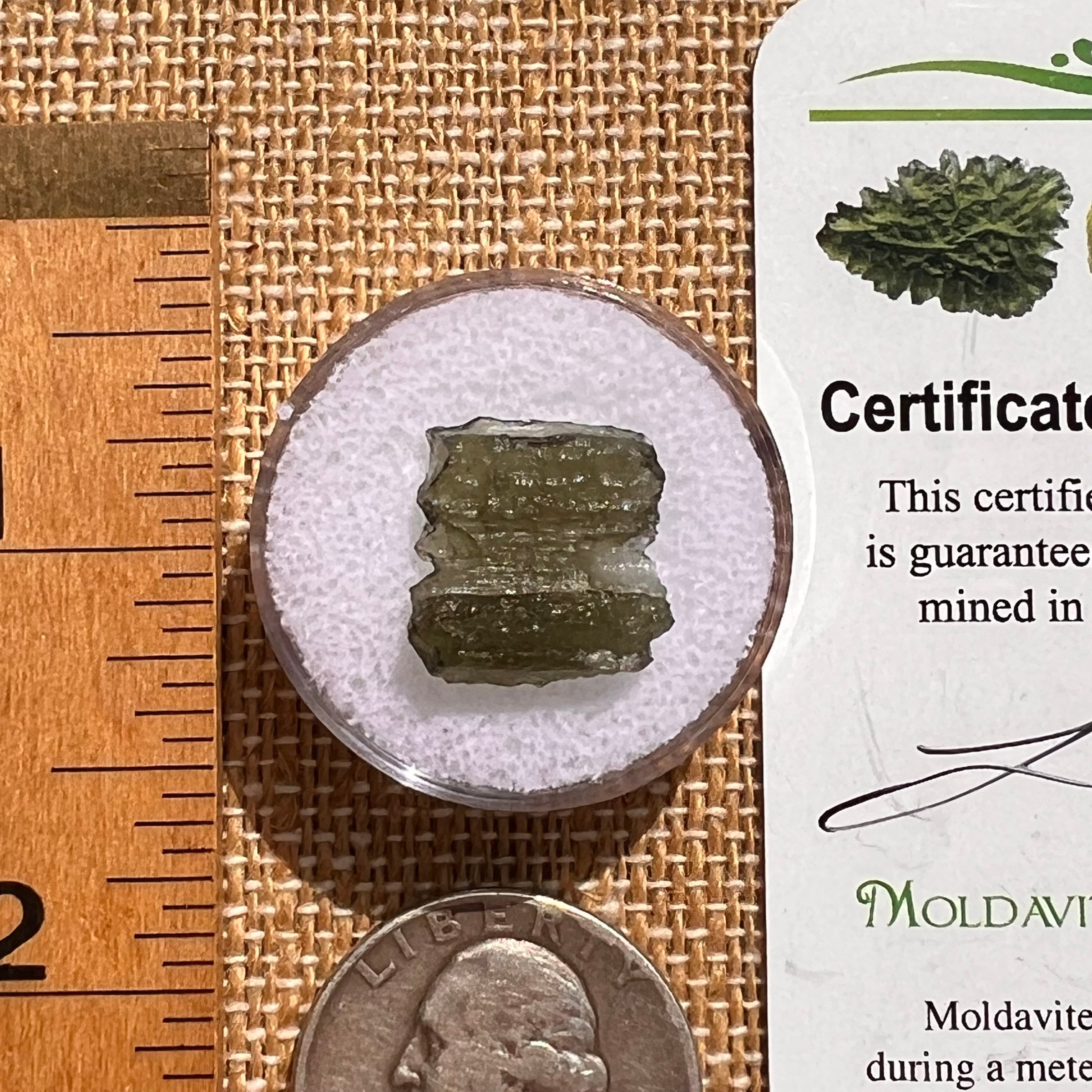 Moldavite 1 gram #2097-Moldavite Life