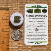 Moldavite 1 gram #2097-Moldavite Life