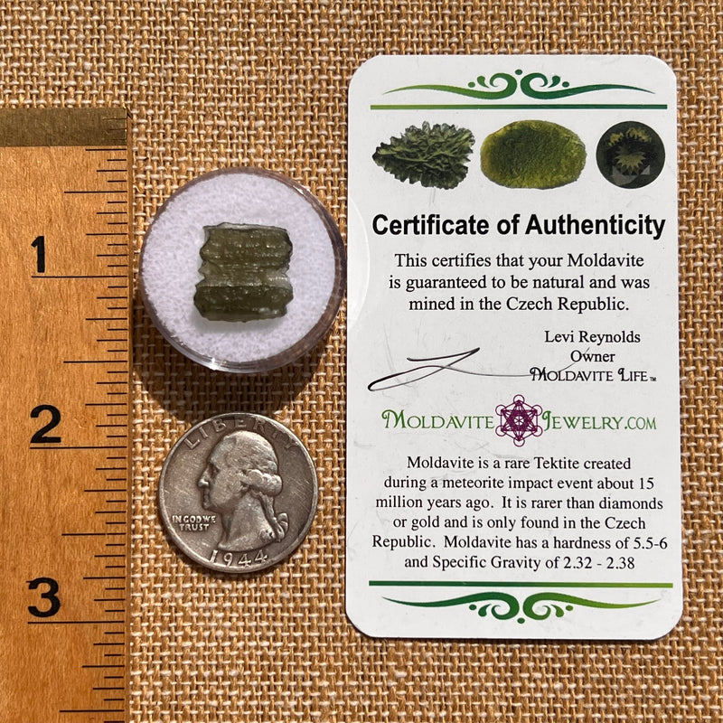 Moldavite 1 gram #2097-Moldavite Life