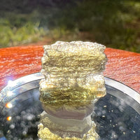 Moldavite 1 gram #2097-Moldavite Life