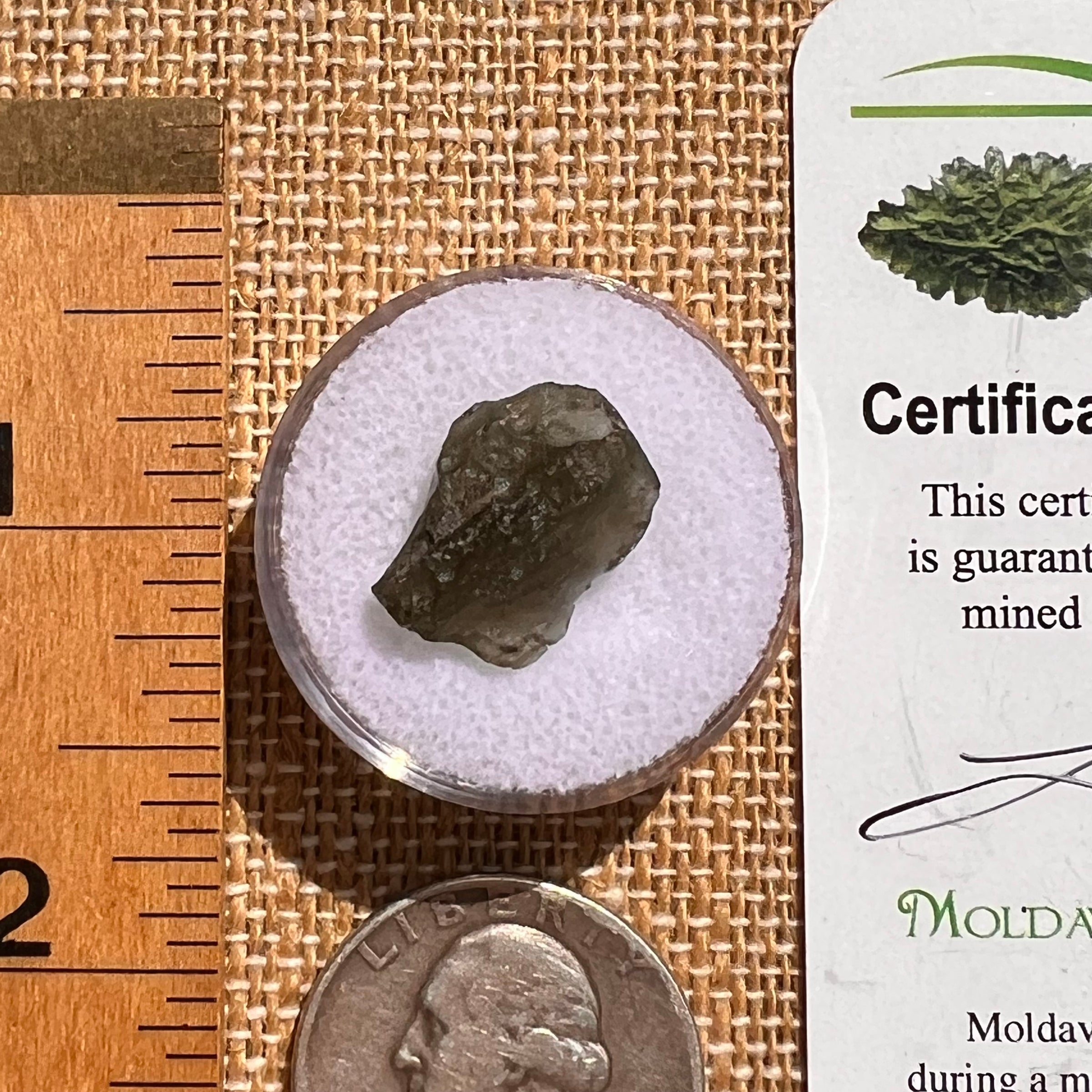 Moldavite 1 gram #2100-Moldavite Life