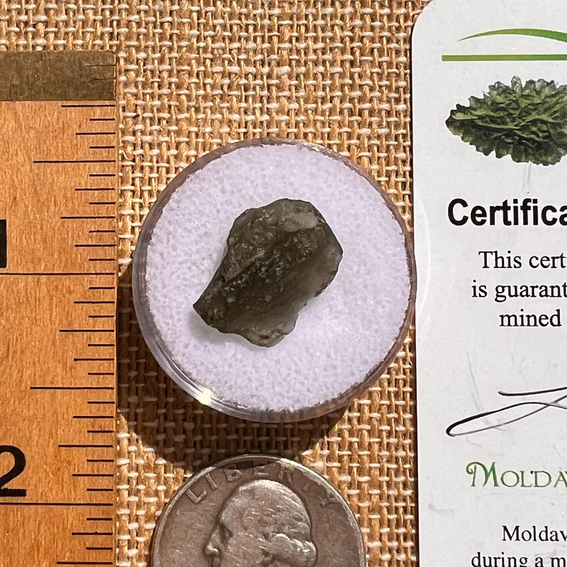Moldavite 1 gram #2100-Moldavite Life