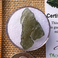 Moldavite 1 gram #2254-Moldavite Life
