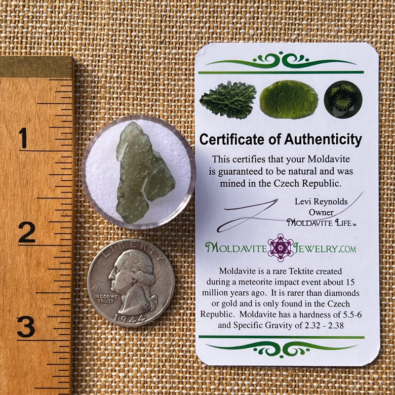 Moldavite 1 gram #2254-Moldavite Life