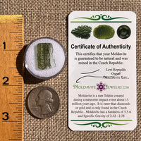 Moldavite 1 gram #2326-Moldavite Life