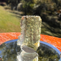 Moldavite 1 gram #2326-Moldavite Life
