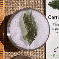 Moldavite 1 gram #2331-Moldavite Life