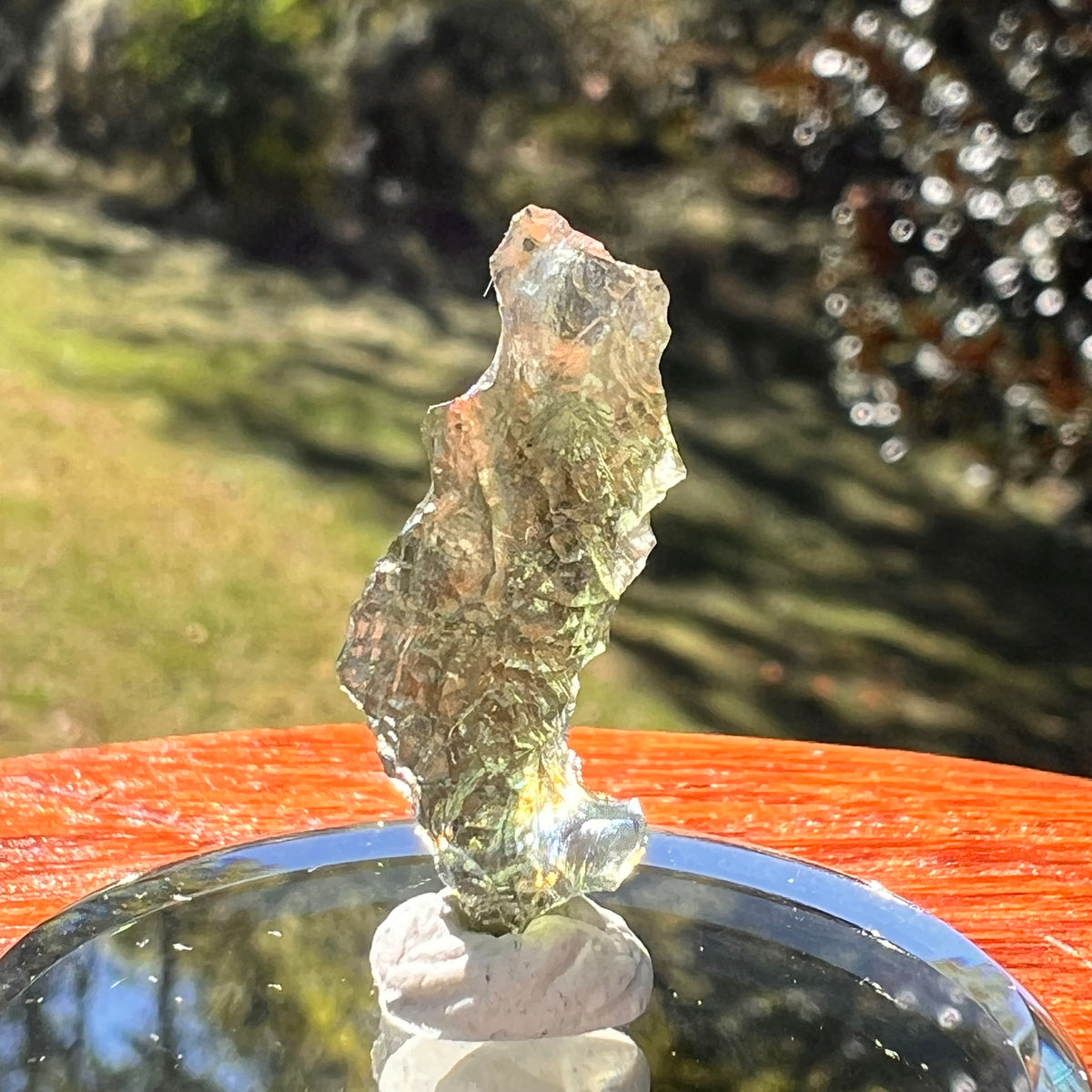 Moldavite 1 gram #2331-Moldavite Life