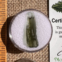 Moldavite 1 gram #2332-Moldavite Life