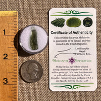 Moldavite 1 gram #2332-Moldavite Life