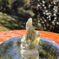 Moldavite 1 gram #2336-Moldavite Life