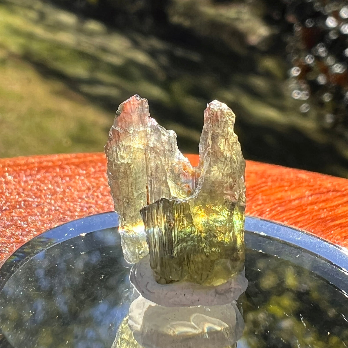 Moldavite 1 gram #2336-Moldavite Life