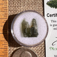 Moldavite 1 gram #2336-Moldavite Life