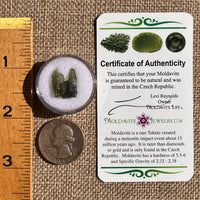 Moldavite 1 gram #2336-Moldavite Life