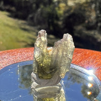 Moldavite 1 gram #2336-Moldavite Life